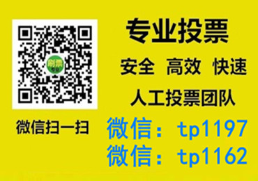 焦作市微信手动投票费多少钱让我告诉你微信投了多少